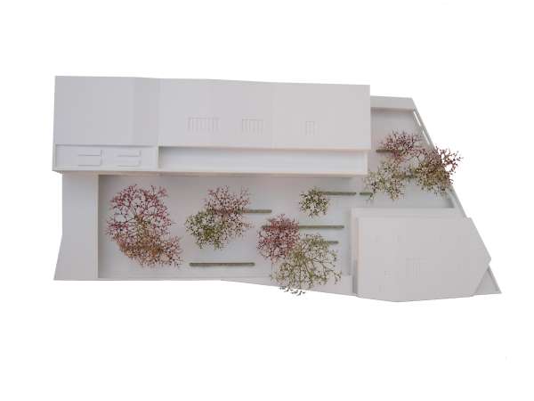 DSCN0075 Kopie-weiss.jpg